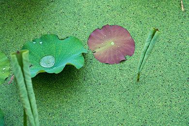 《进击的巨人VR》抢先体验 今冬发布正式版更新